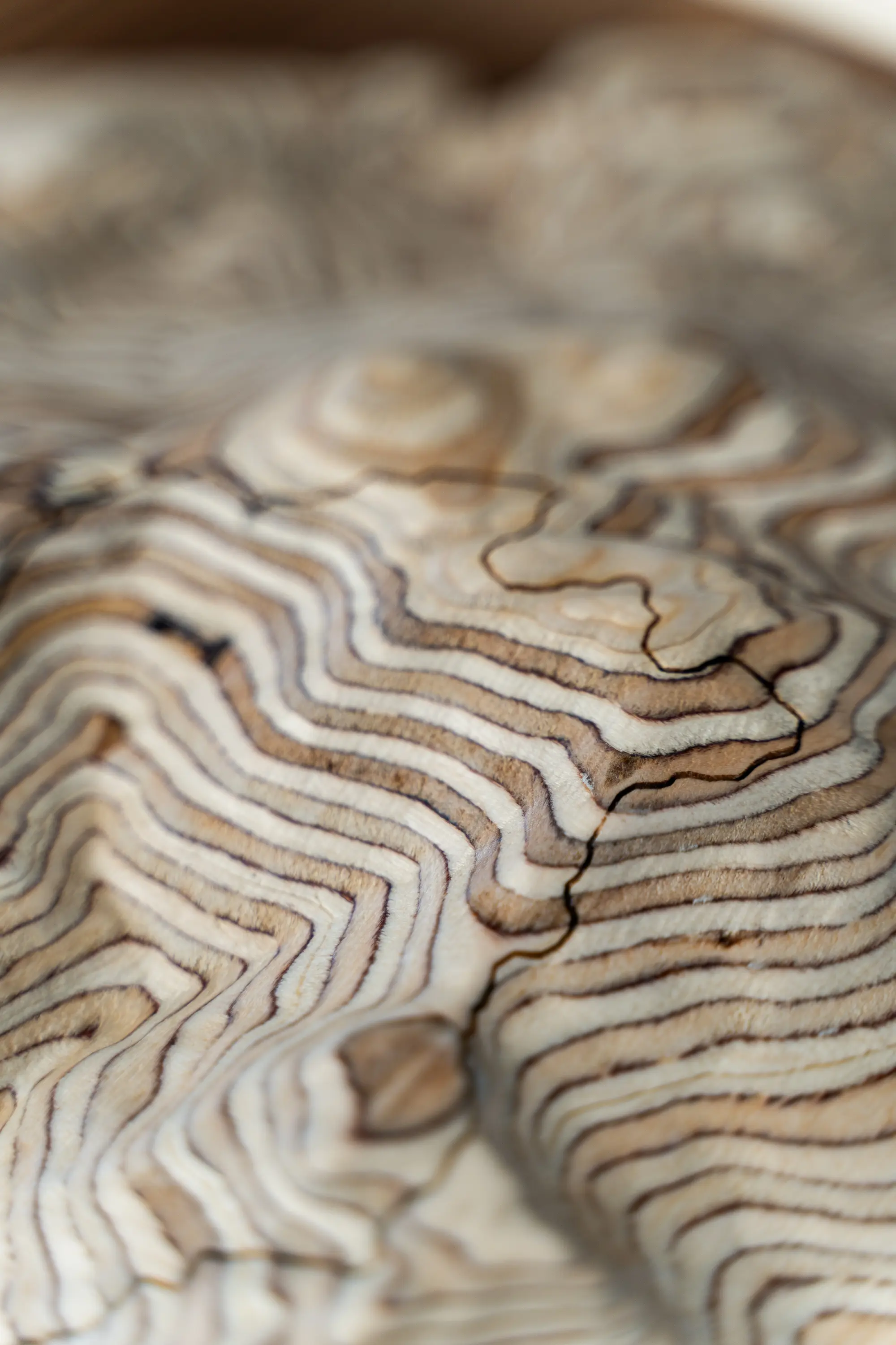 Handcrafted topographic art piece detail