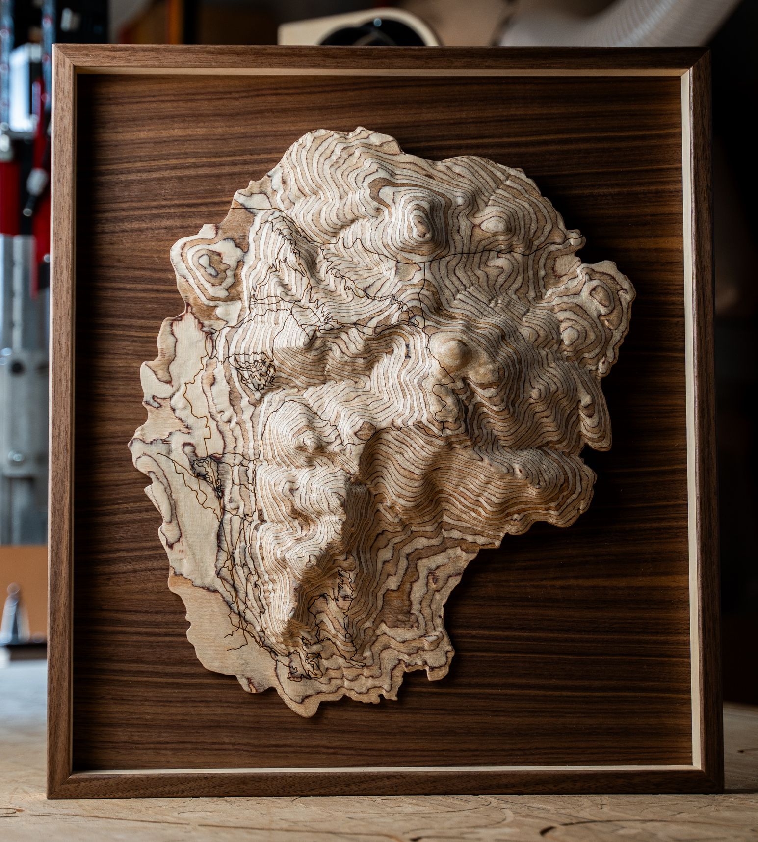 Handcrafted topographic art piece